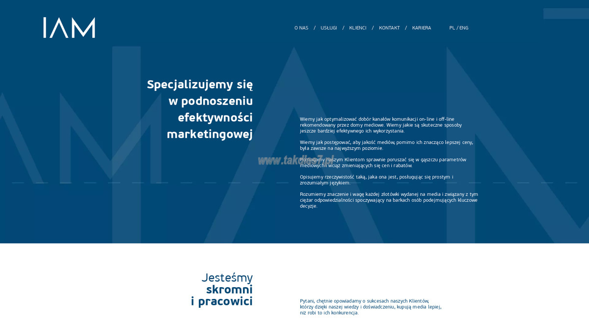 instytut-audytu-mediowego